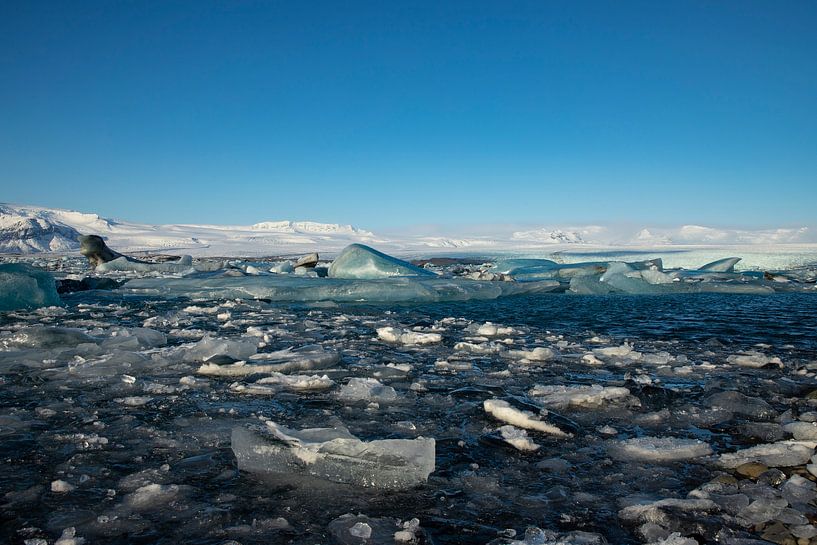 Iceland landscape, Jökulsárlón. Glacier lake and Diamond beach by Gert Hilbink