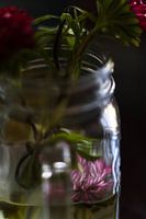 Summer asters captured in a vase nr 8