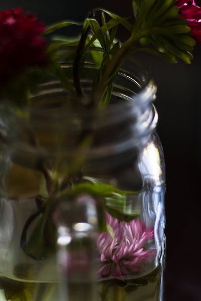 Asters d'été capturés dans un vase n° 8 par Erwin van Eekhout