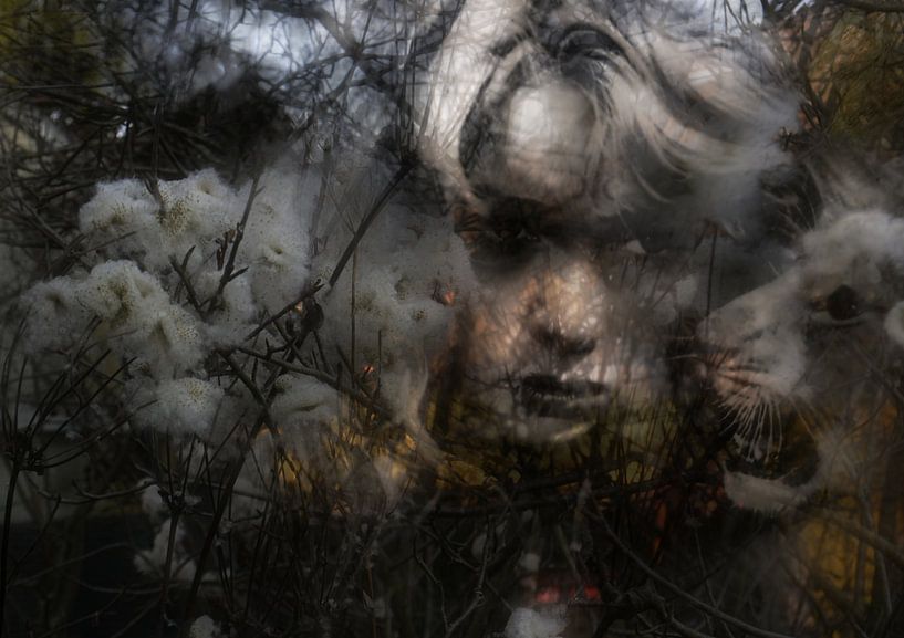 Im Urwald - Lianen von Christine Nöhmeier