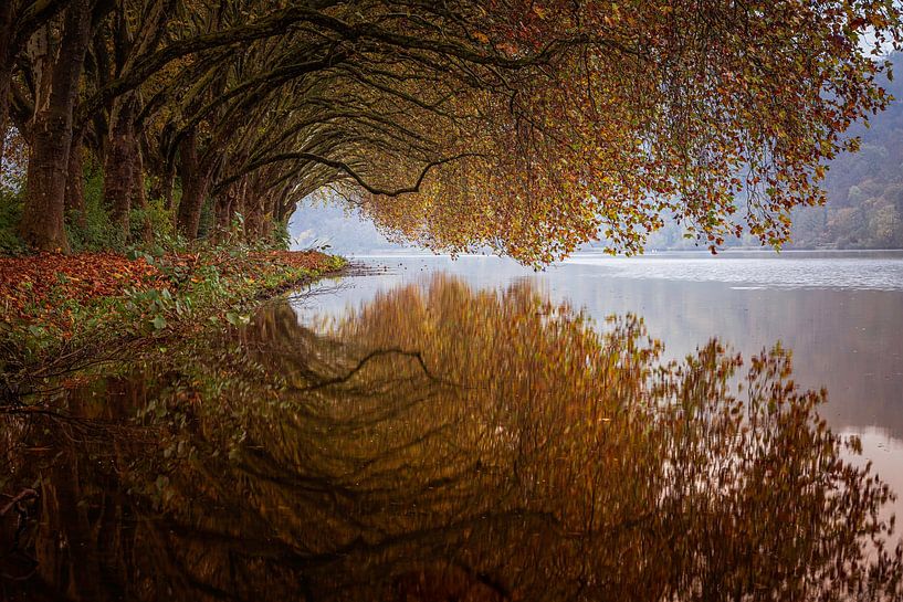 Herfstkleuren boven een meer van Walter Roost