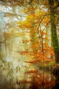 Romantische Enten von Lars van de Goor