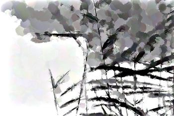 Graanhalmen tegen bewolkte lucht