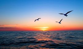 Vogelperspektive in der Abenddämmerung 5 von ByNoukk