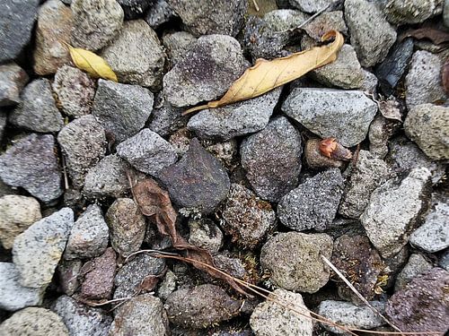 Erdiger Splitt: Fels- und Kieselsteintextur von pungky setiawan