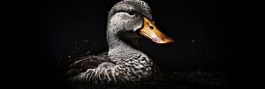 Ente