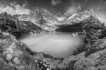 Lac de montagne dans les Dolomites en noir et blanc sur Manfred Voss, Schwarz-weiss Fotografie