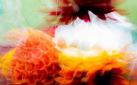 Fleurs abstraites modernes sur Sander van Laar