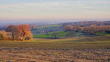 Winthagen von Rob Boon