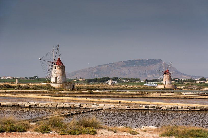 Windmühlen in Salinen von Adri Vollenhouw