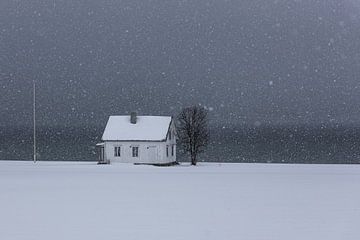White Cottage Norway van Klaas Doting
