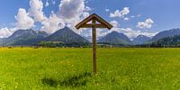 Veldkruis met Christusfiguur, Allgäu, Beieren, Duitsland van Walter G. Allgöwer thumbnail