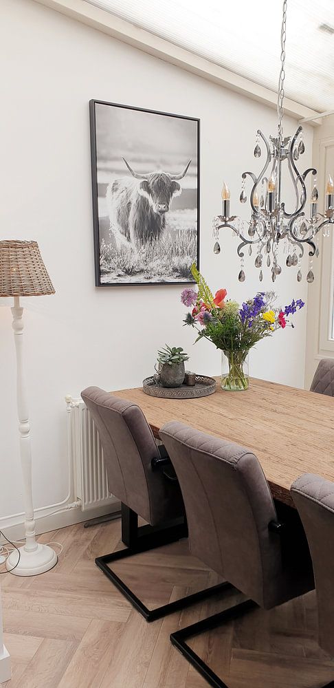 Portrait of a Scottish Cattle  by Evelien Oerlemans 