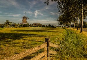 Molen de Hond Paesens