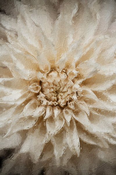Dahlie in Ölfarbe von Quay Art