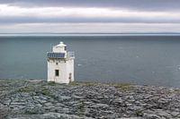 Black Head Ireland
