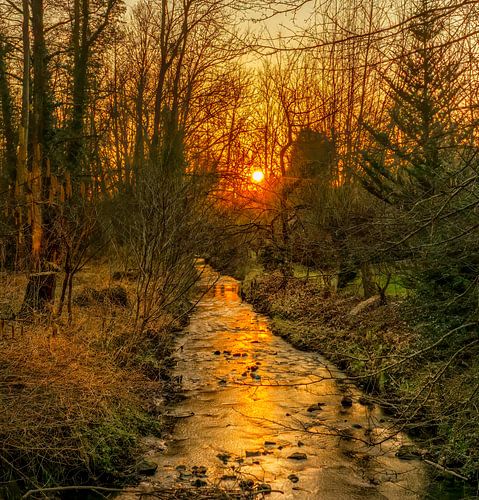 Zonsondergang bij de Eyserbeek in Simpelveld van John Kreukniet