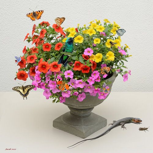 CALIBRACHOA FLORAL STILL LIFE