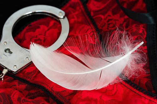 Handboeien, rood slipje en witte veer