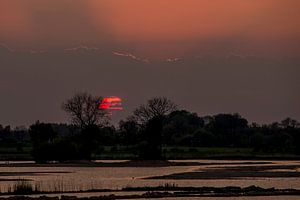 Coucher de soleil dans le Vreugderijkerwaard
