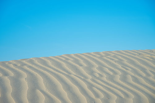 Sandlinien in der stillen Sahara der Niederlande