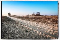 Trail of sand