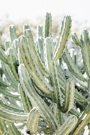 Greenery in all its forms by Nienke van Denderen