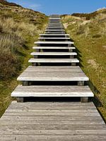 Wooden stairs in a dune near List, Sylt