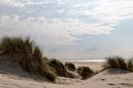 Duin, strand en zee II van Miranda van Hulst thumbnail