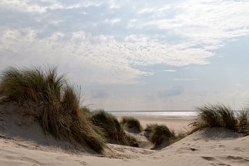 Dunes, beach and sea by Miranda van Hulst