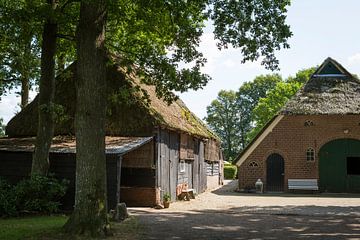 Historische Saksische boerderij met rieten dak in Gees, Drenthe van Ger Beekes