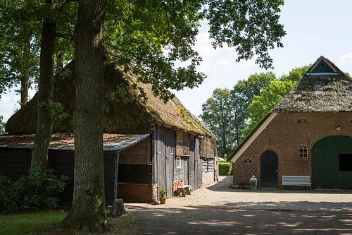 Historische Saksische boerderij met rieten dak in Gees, Drenthe