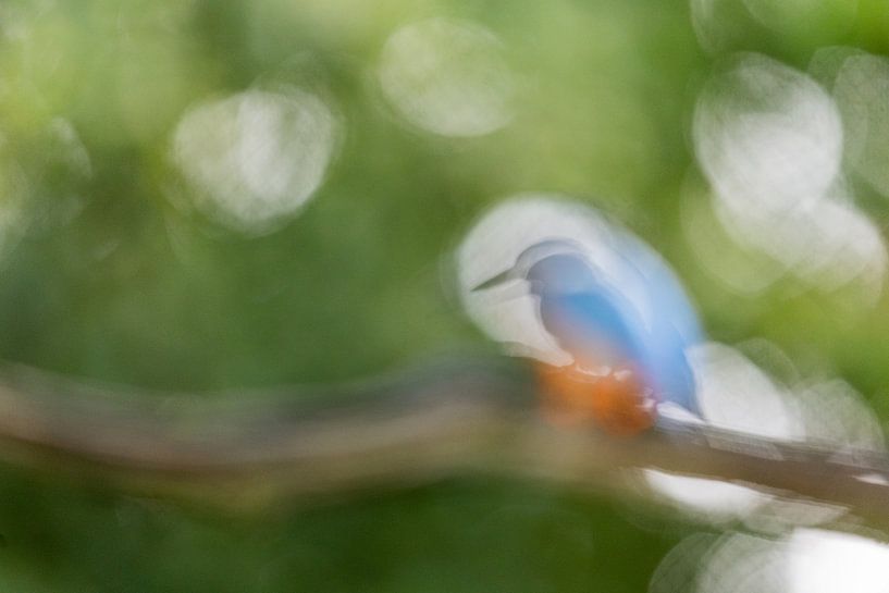 Impression of a Kingfisher by Andius Teijgeler