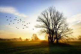 De schoonheid van het Brabantse land van Christa Krus