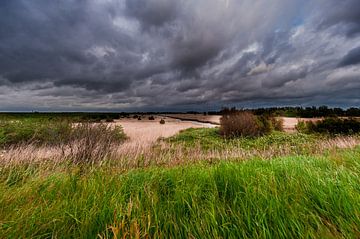 A Thunderstorm over a Landscape