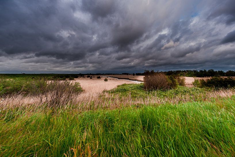 A Thunderstorm over a Landscape van Brian Morgan