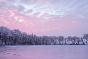 Lake with white trees in pink hour von Karla Leeftink