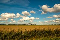 Hollands landschap in Zeeland