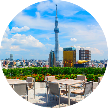 Tokyo centrum met Tokyo Skytree van Yevgen Belich