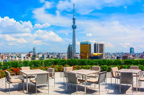 Tokyo centrum met Tokyo Skytree