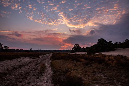 Sunset Colors 3 - Loonse en Drunense Duinen