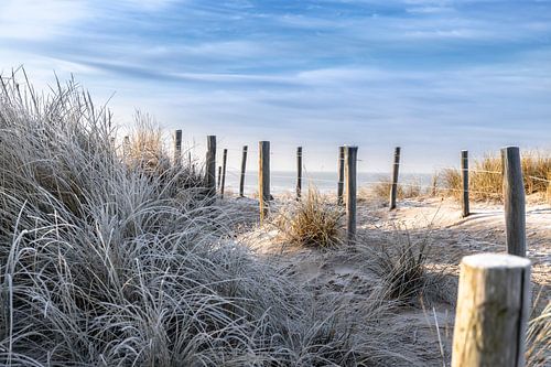 Winterse wandeling door de duinen