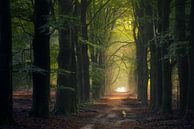 The Approach I by Jeroen Lagerwerf thumbnail