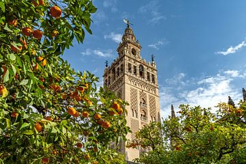 Kathedraal en sinaasappels, Sevilla van Peter Schickert