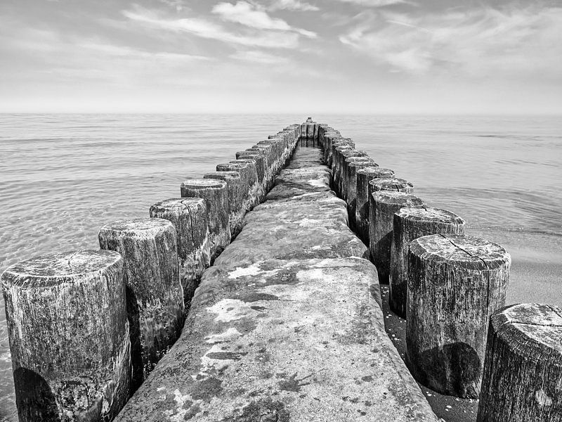 Buhne sur la côte de la Baltique en noir et blanc par Katrin May