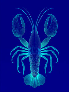 Illustration eines abstrakten Krebses in Blau