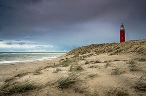 De vuurtoren van Eierland op Texel van Ricardo Bouman