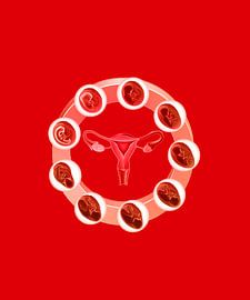 L'utérus sacré sur Emelly Velasco