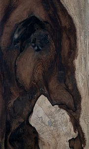 Versteinertes Holz (Detail) von Franke de Jong