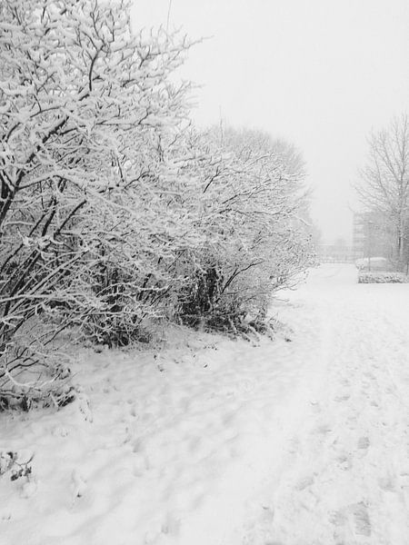 Verschneite Welt von Eline